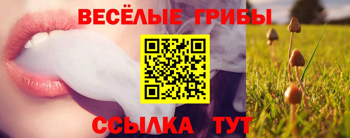 Галлюциногенные грибы GOLDEN TEACHER  Вход с VPN  Трёхгорный 